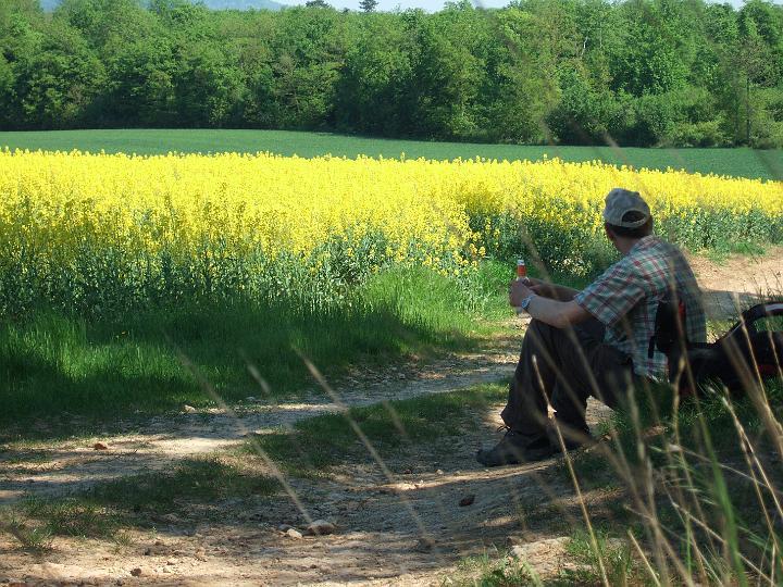 2008-05- (087).JPG - Mittagspause am Rapsfeld